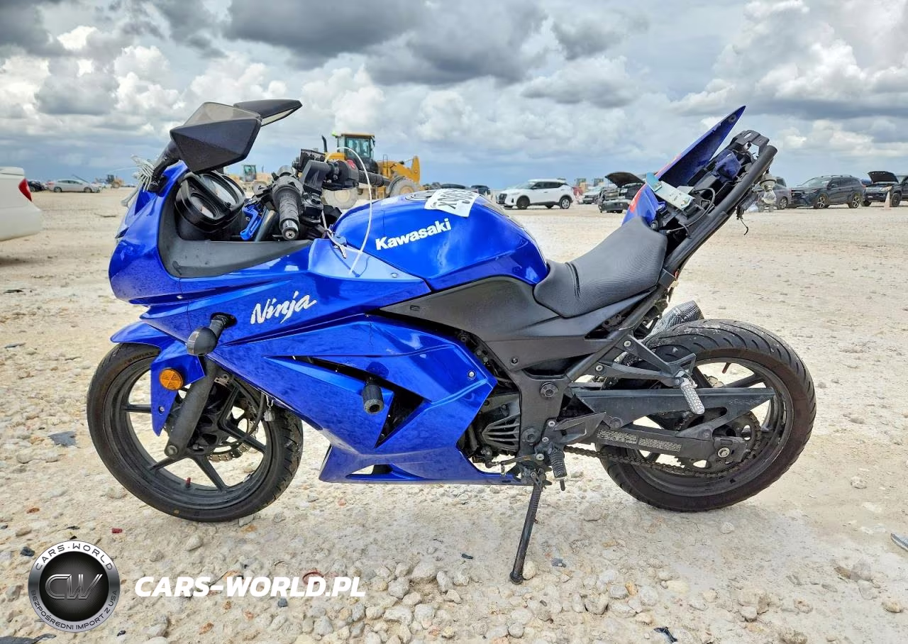 2009 Kawasaki Ex250 J VIN:JKAEXMJ199DA31895 - 3
