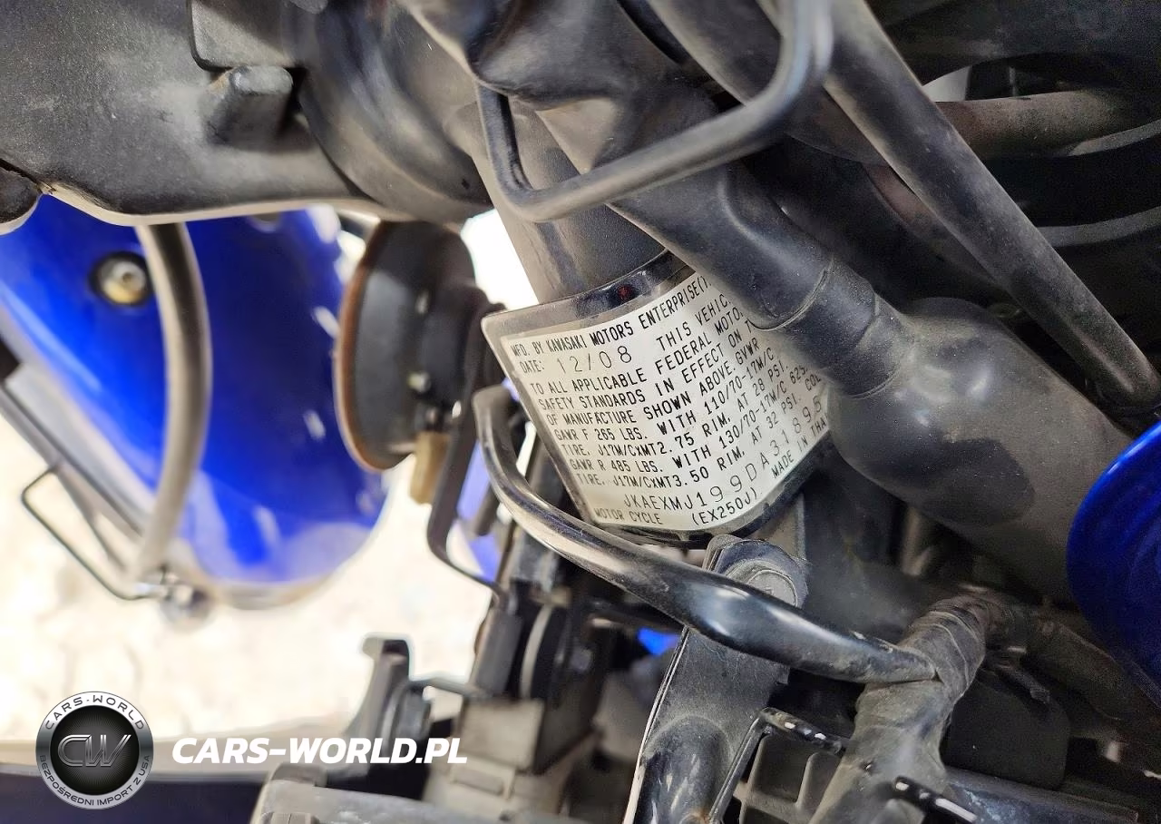2009 Kawasaki Ex250 J VIN:JKAEXMJ199DA31895 - 9