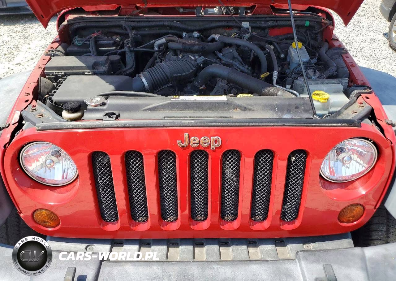 2009 Jeep Wrangler X VIN:1J4FA24159L766625 - 11