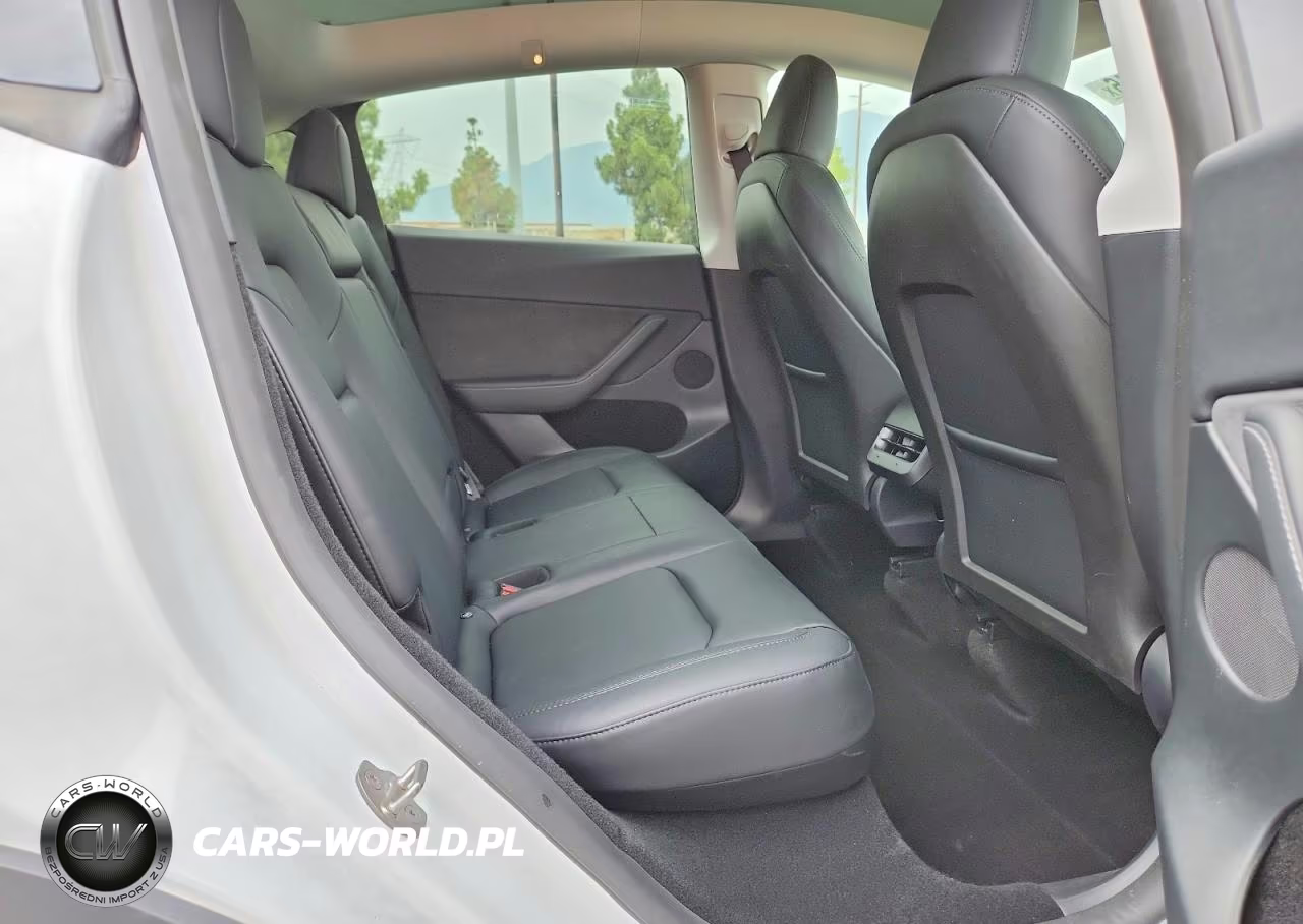 2024 Tesla Model Y VIN:7SAYGDEEXRF167266 - 10