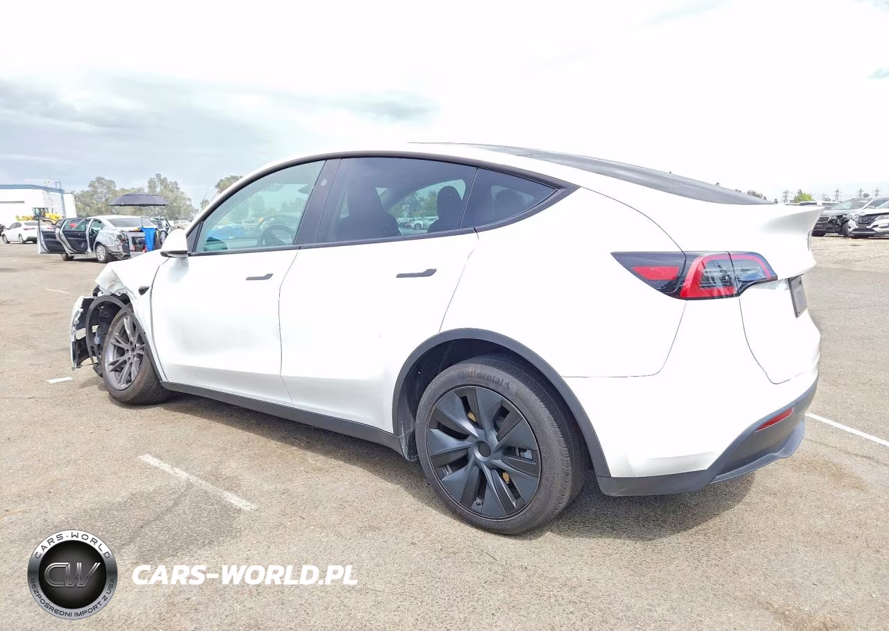 2024 Tesla Model Y VIN:7SAYGDEEXRF167266 - 2