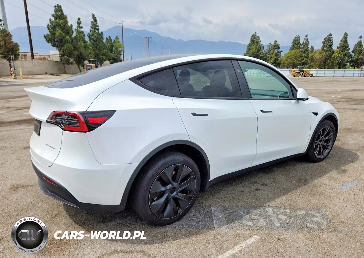 2024 Tesla Model Y VIN:7SAYGDEEXRF167266 - 3