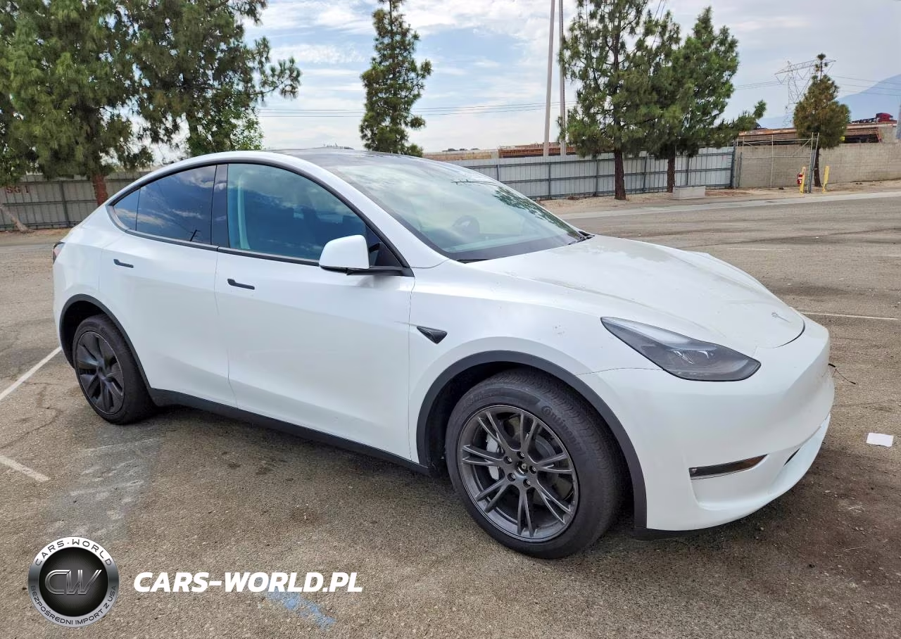 2024 Tesla Model Y VIN:7SAYGDEEXRF167266 - 4