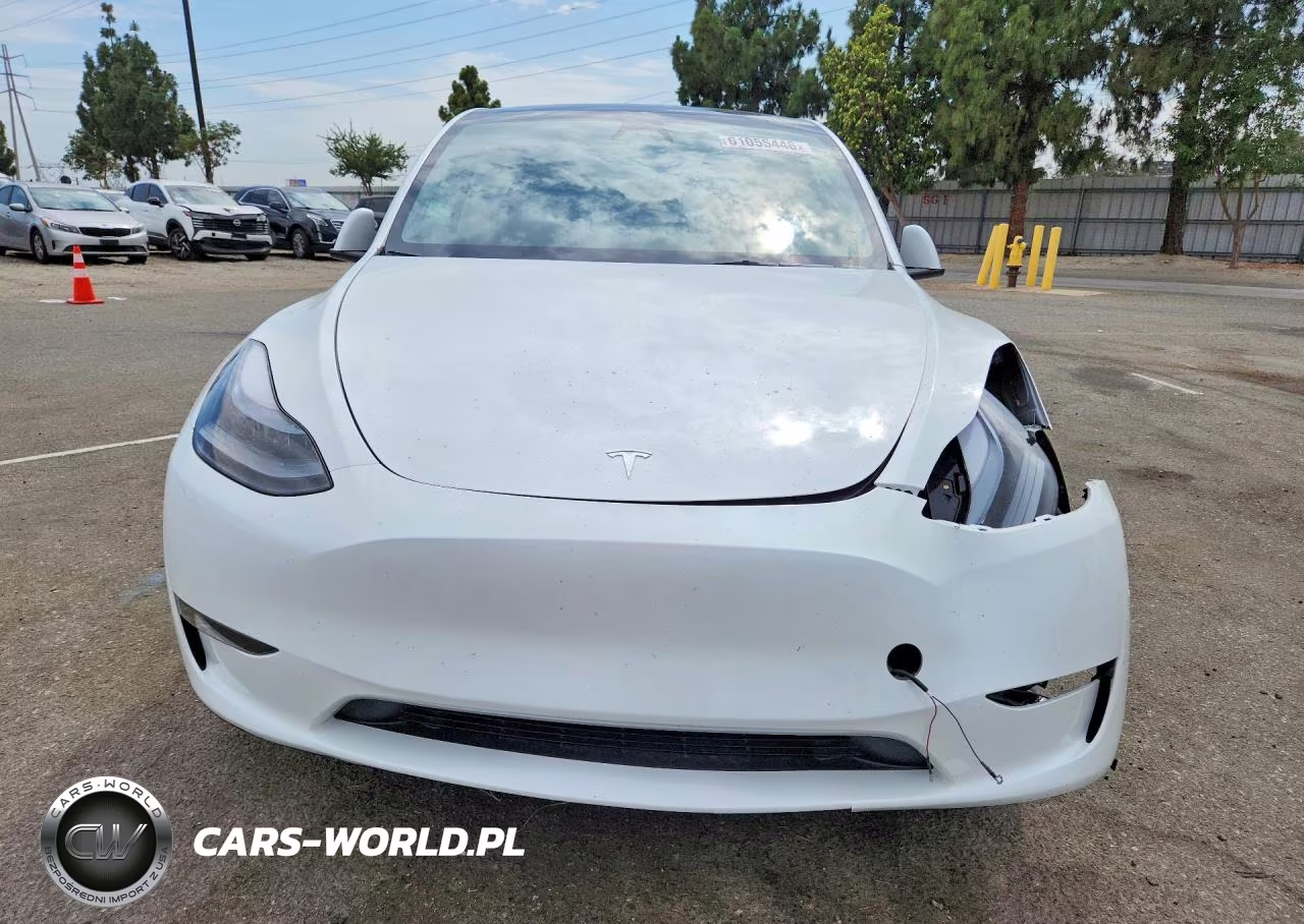 2024 Tesla Model Y VIN:7SAYGDEEXRF167266 - 5