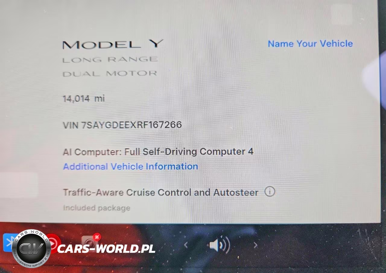 2024 Tesla Model Y VIN:7SAYGDEEXRF167266 - 9