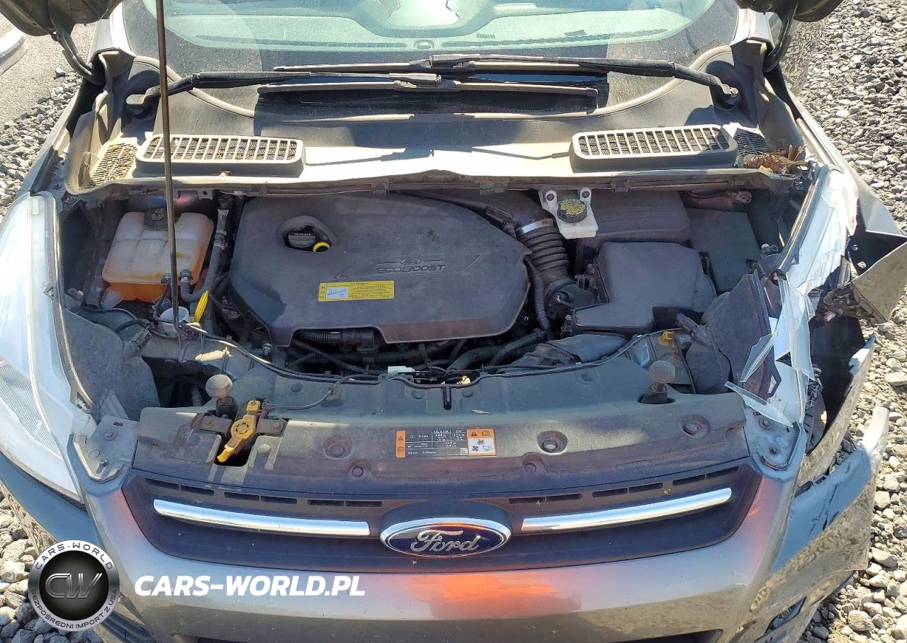 2014 Ford Escape Se VIN:1FMCU9GX9EUC02579 - 12