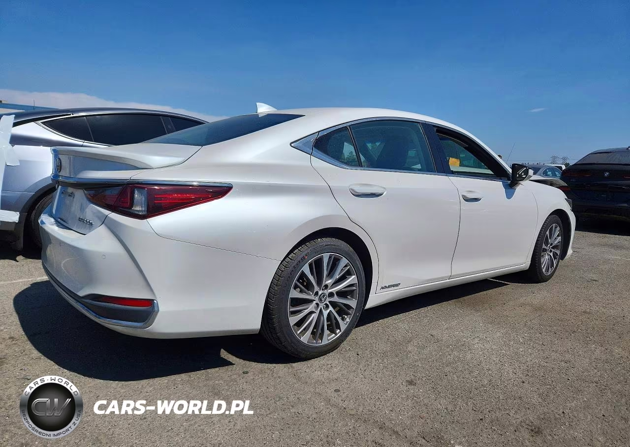 2019 Lexus Es 300H VIN:58AB21B18KU002917 - 3