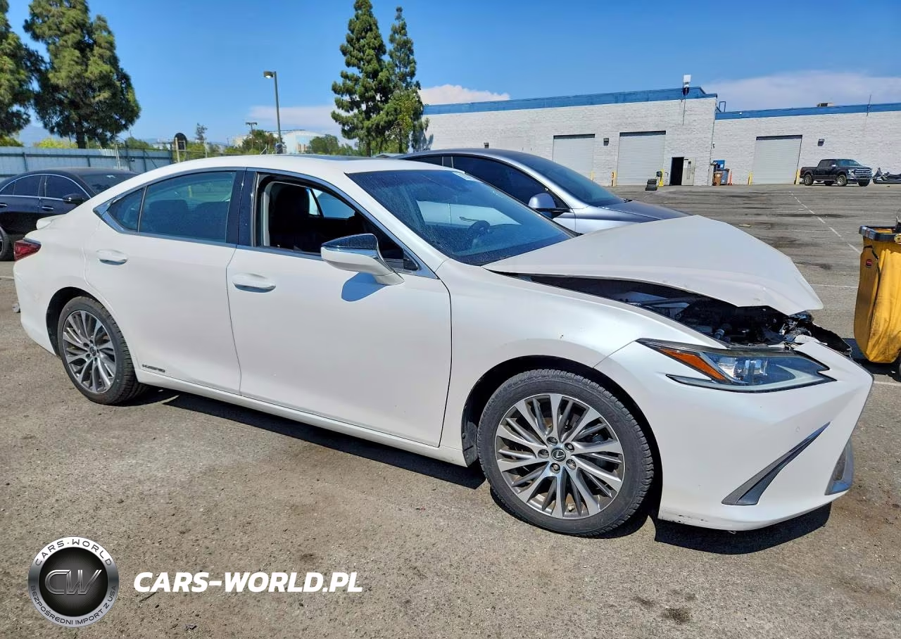 2019 Lexus Es 300H VIN:58AB21B18KU002917 - 4
