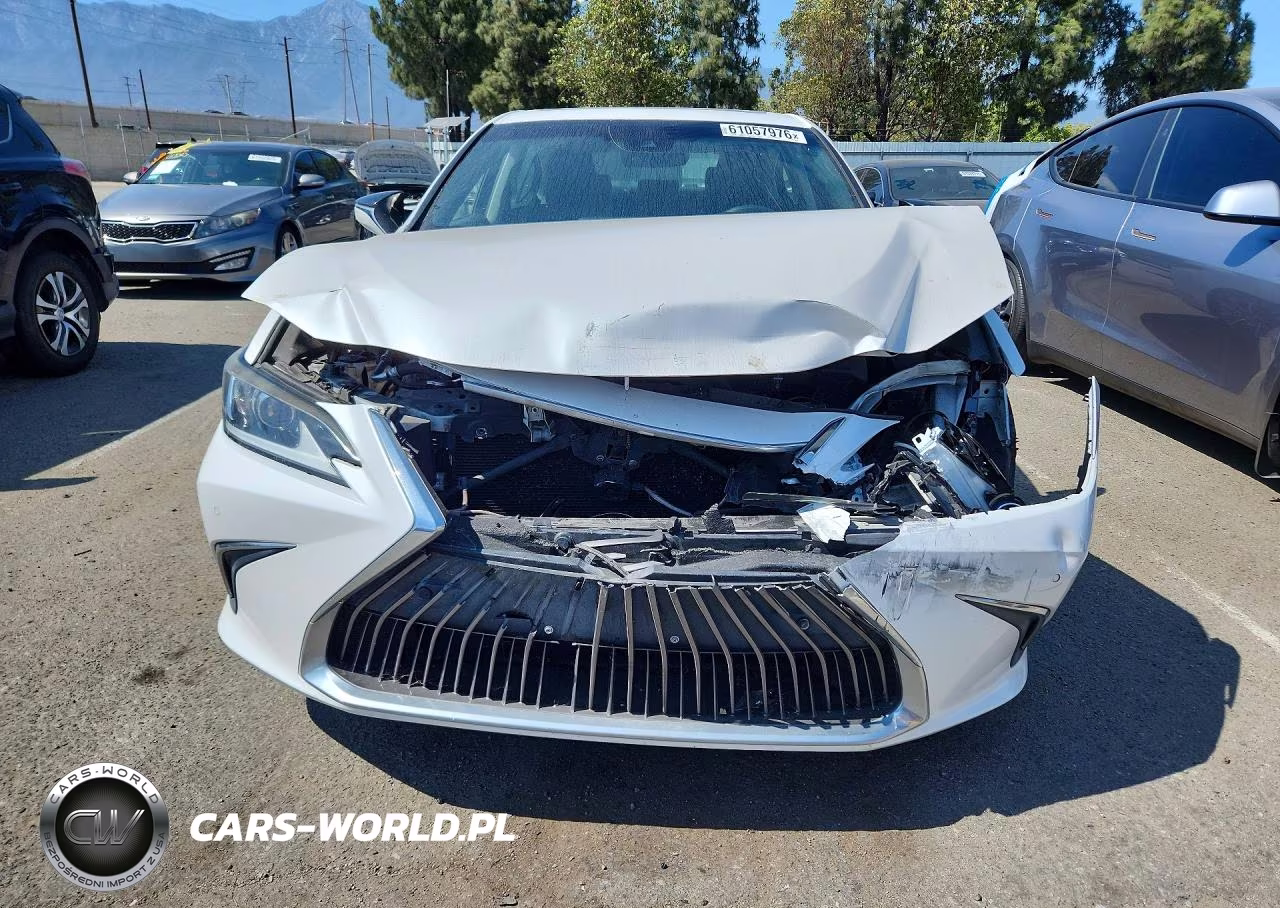 2019 Lexus Es 300H VIN:58AB21B18KU002917 - 5