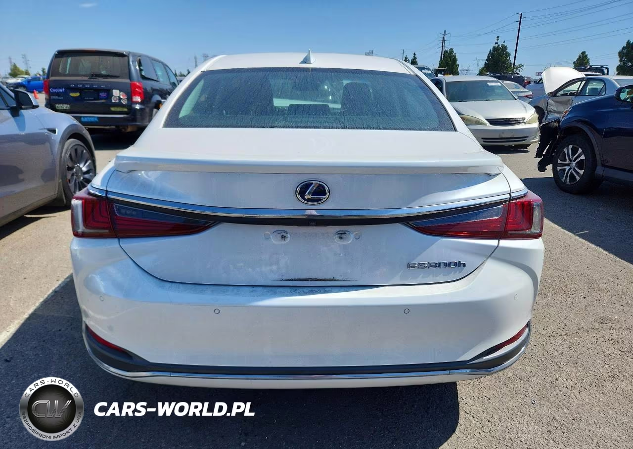 2019 Lexus Es 300H VIN:58AB21B18KU002917 - 6