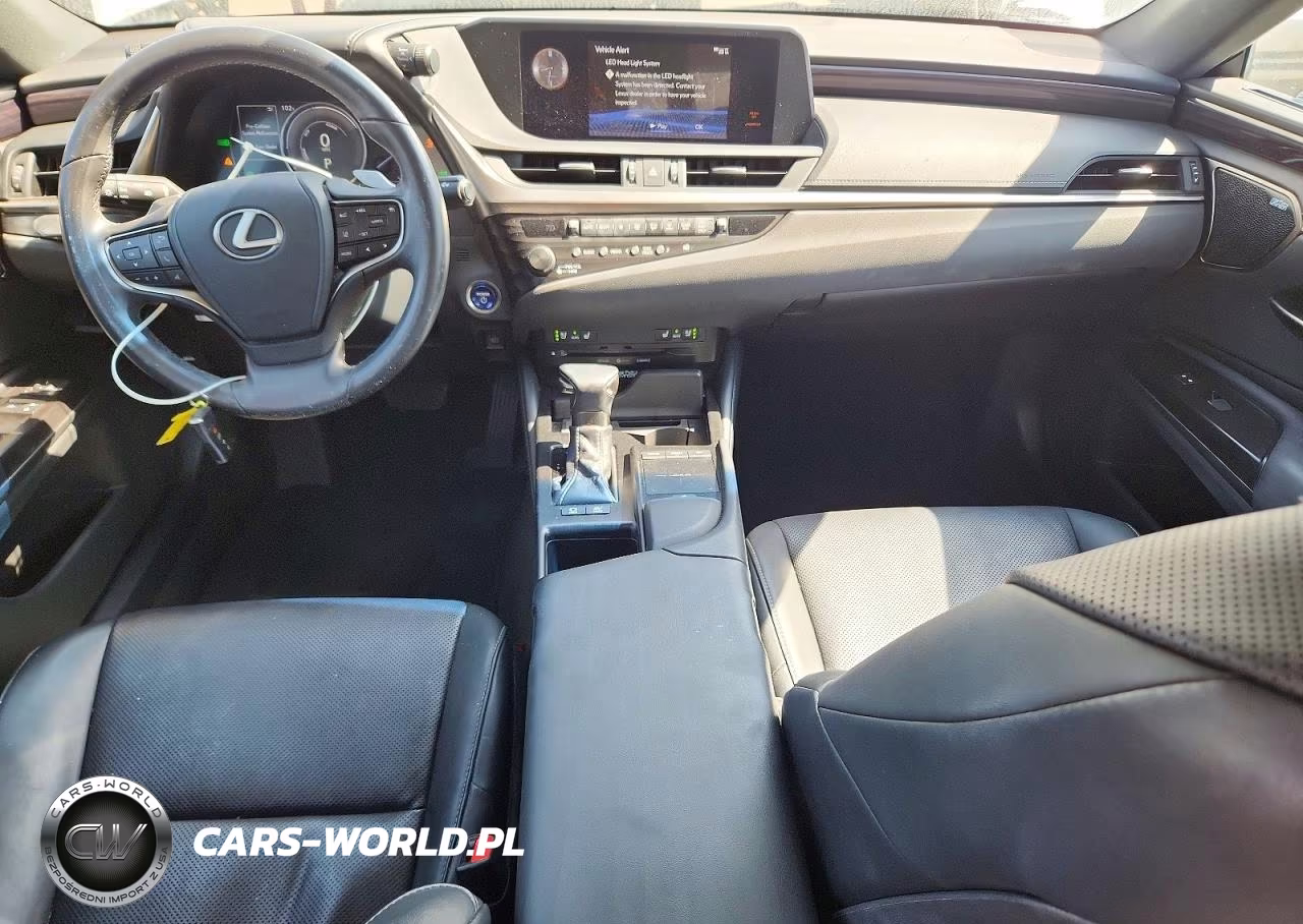 2019 Lexus Es 300H VIN:58AB21B18KU002917 - 8