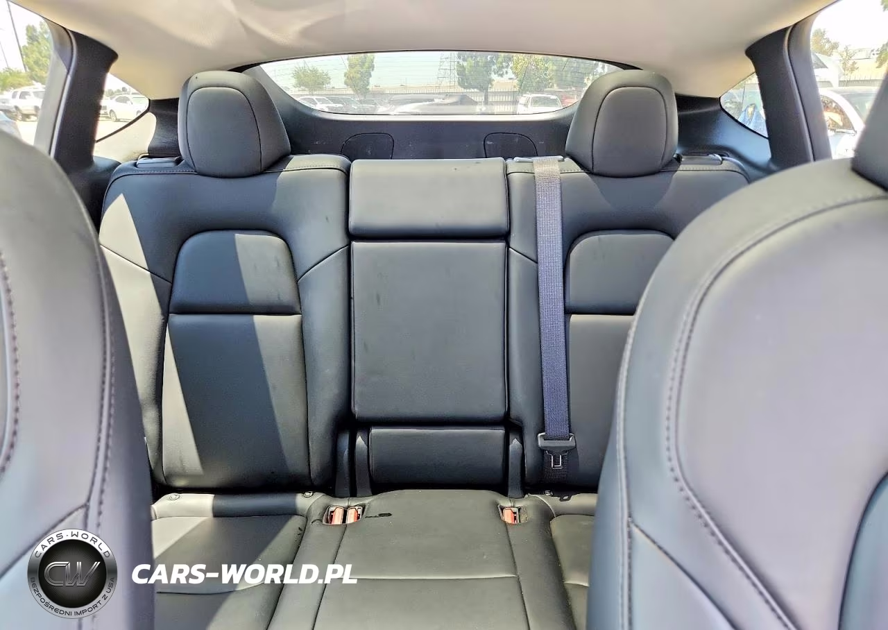 2024 Tesla Model Y VIN:7SAYGDED1RF160696 - 10