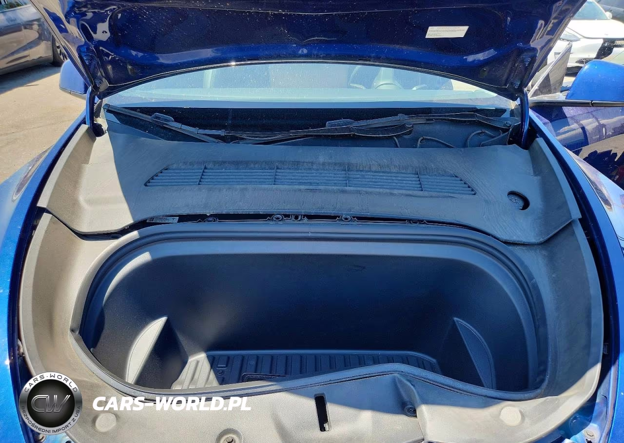 2024 Tesla Model Y VIN:7SAYGDED1RF160696 - 12