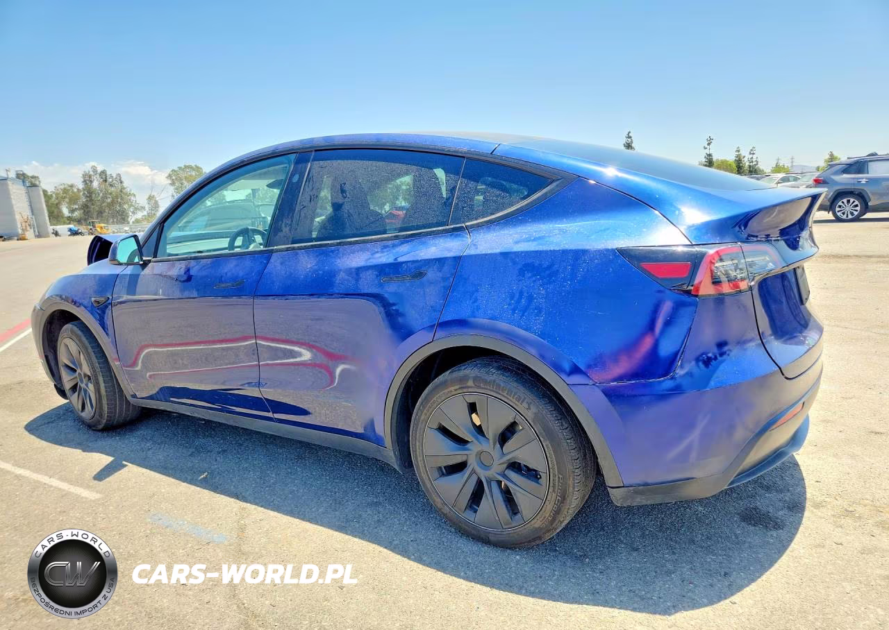 2024 Tesla Model Y VIN:7SAYGDED1RF160696 - 2