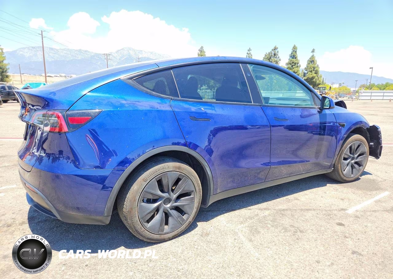2024 Tesla Model Y VIN:7SAYGDED1RF160696 - 3