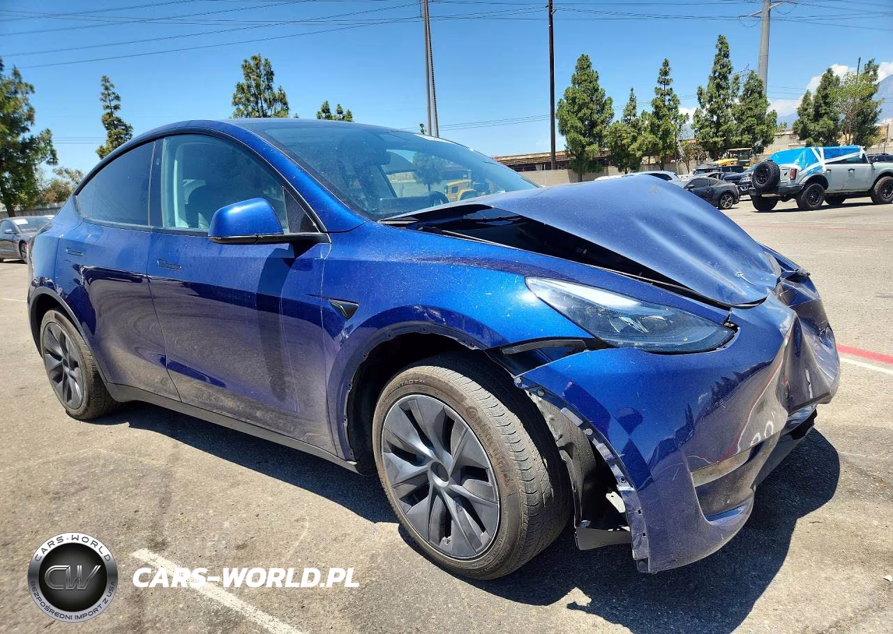 2024 Tesla Model Y VIN:7SAYGDED1RF160696 - 4