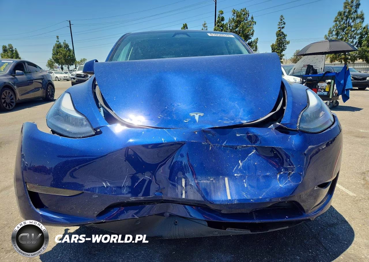 2024 Tesla Model Y VIN:7SAYGDED1RF160696 - 5