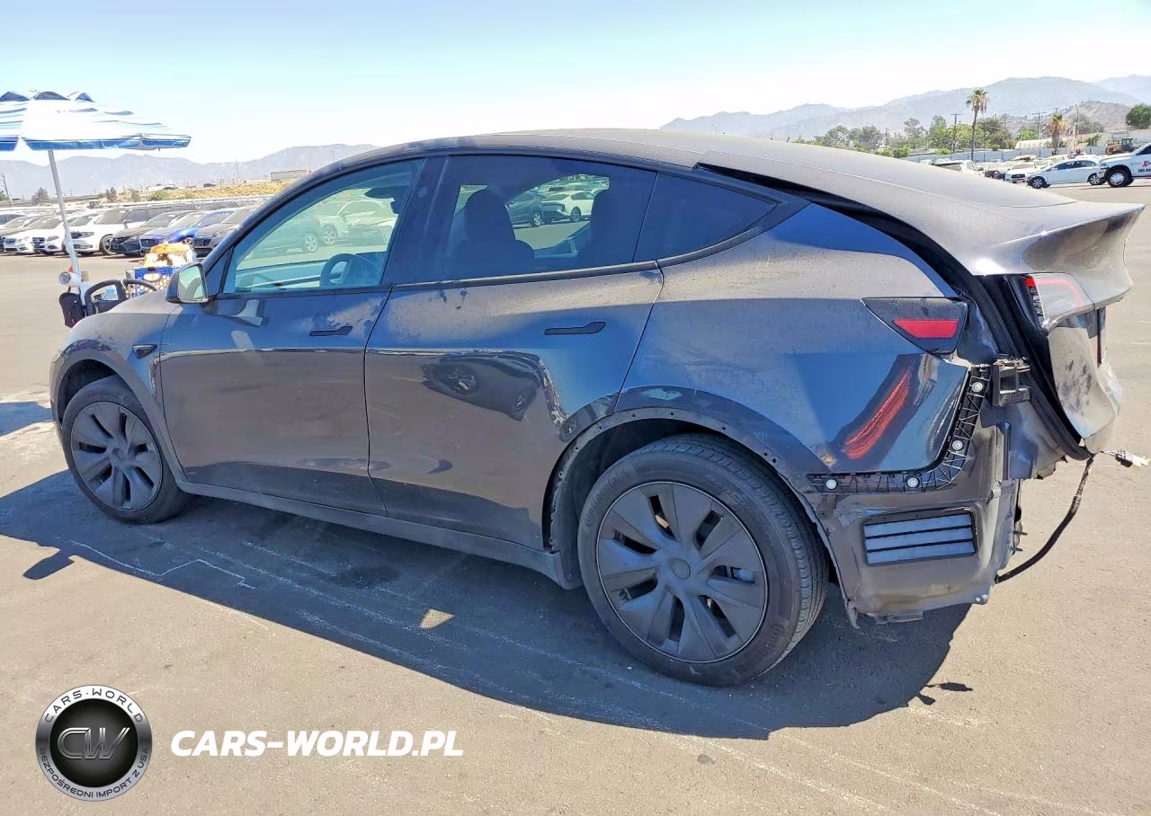 2024 Tesla Model Y VIN:7SAYGDED1RF097907 - 2