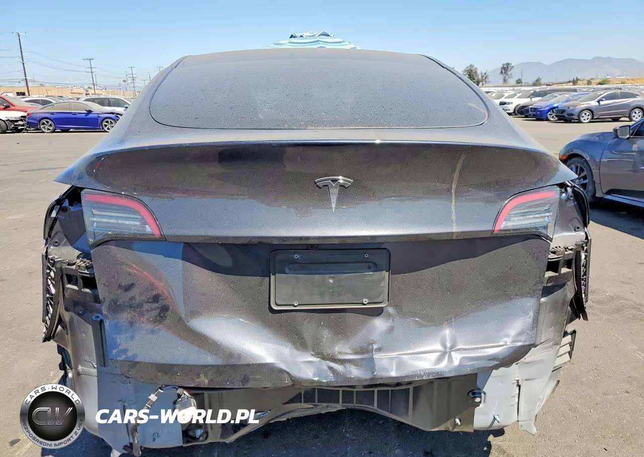 2024 Tesla Model Y VIN:7SAYGDED1RF097907 - 6