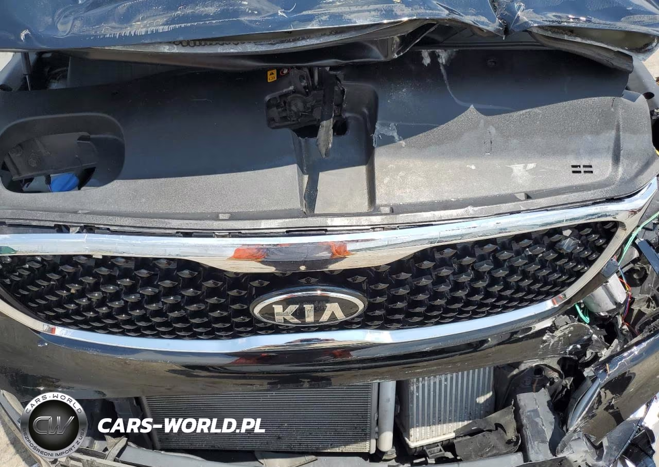 2017 Kia Sorento Ex VIN:5XYPHDA1XHG277704 - 12