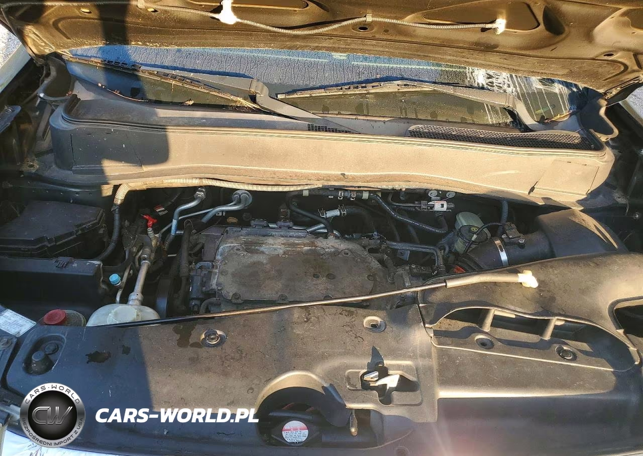 2009 Honda Pilot Exl VIN:5FNYF48509B007389 - 12