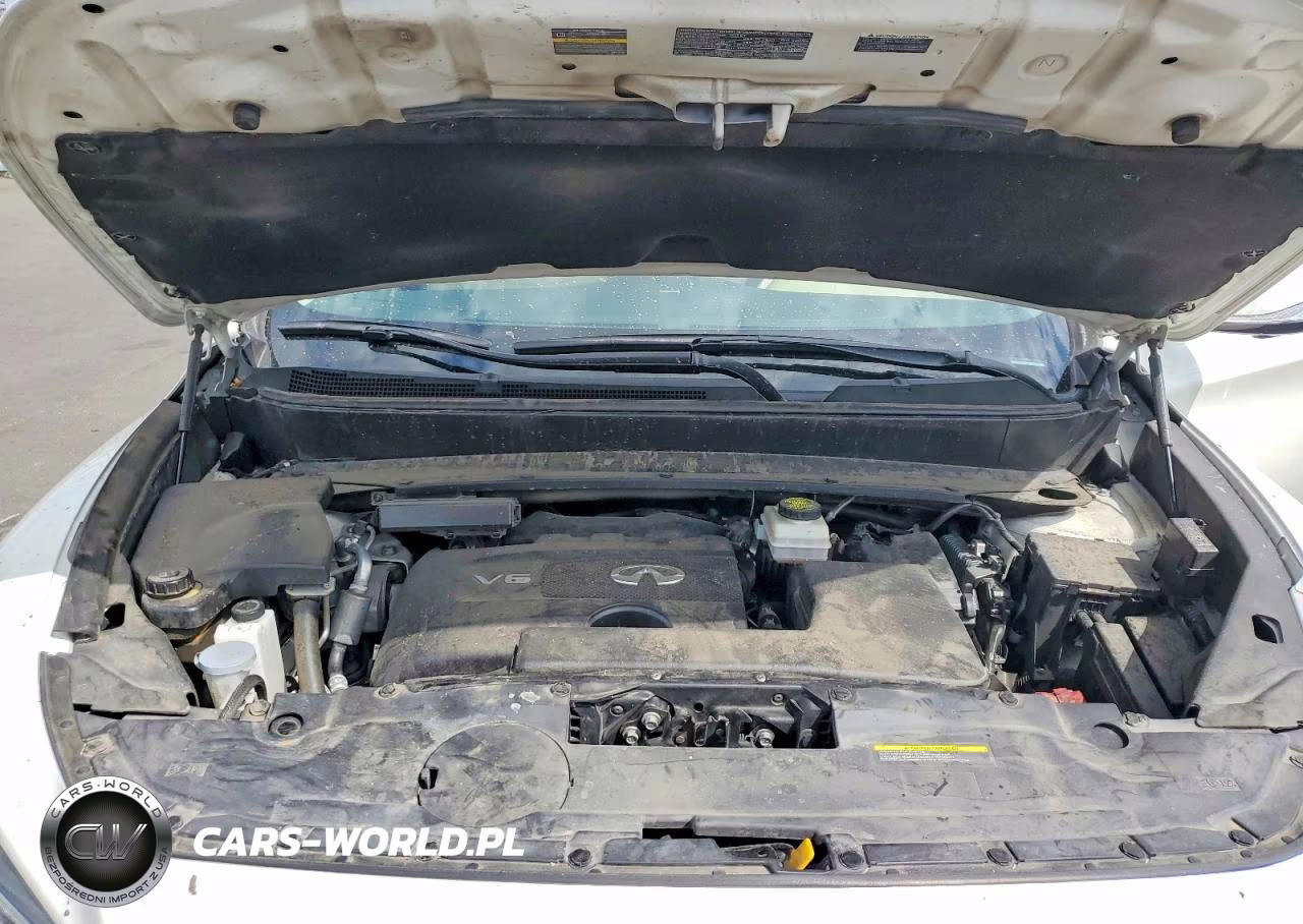 2019 Infiniti Qx60 Pure VIN:5N1DL0MN4KC560048 - 12