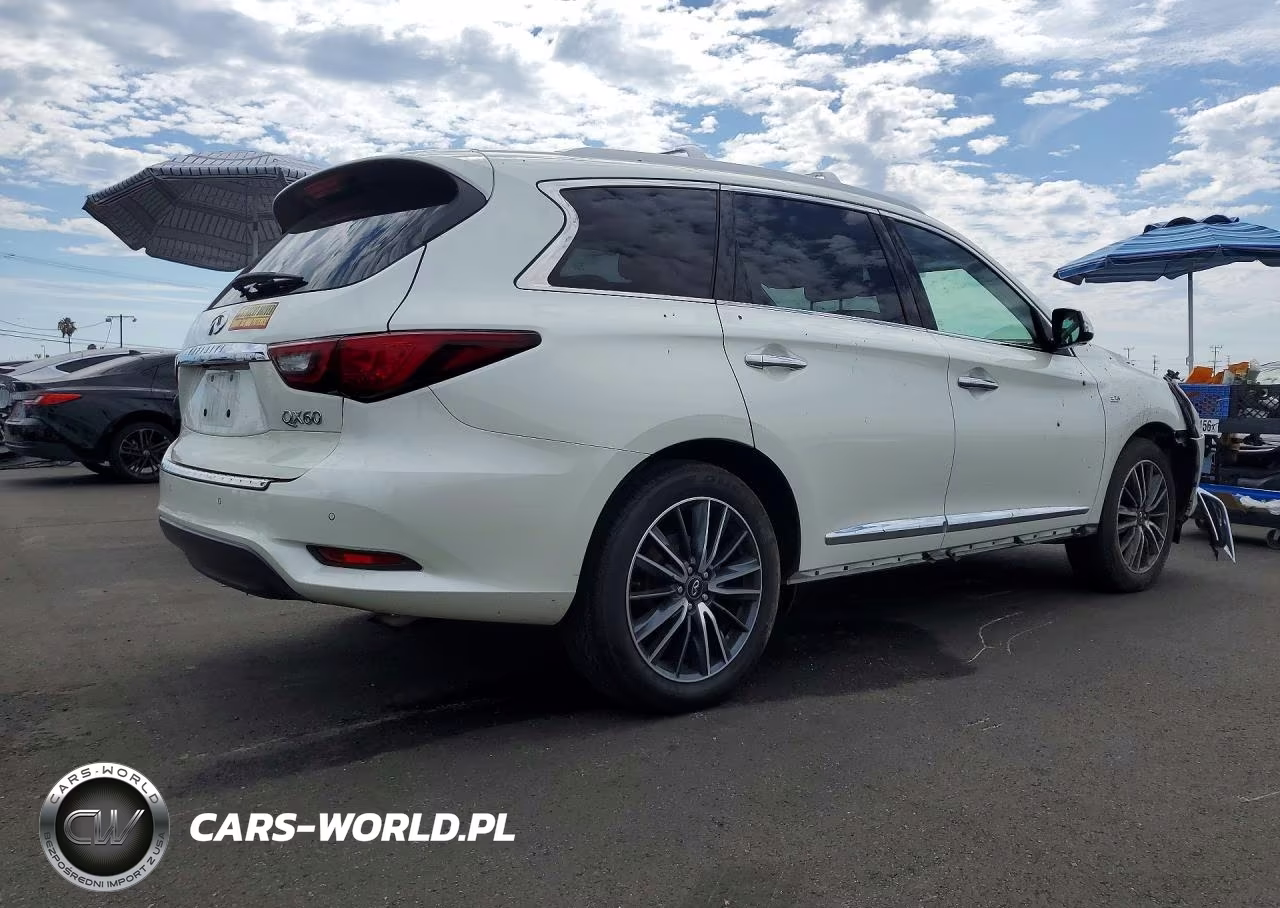 2019 Infiniti Qx60 Pure VIN:5N1DL0MN4KC560048 - 3