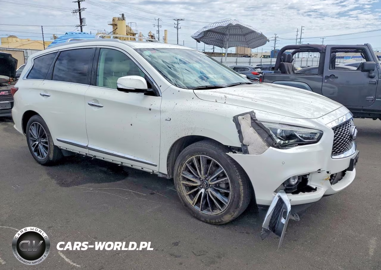 2019 Infiniti Qx60 Pure VIN:5N1DL0MN4KC560048 - 4