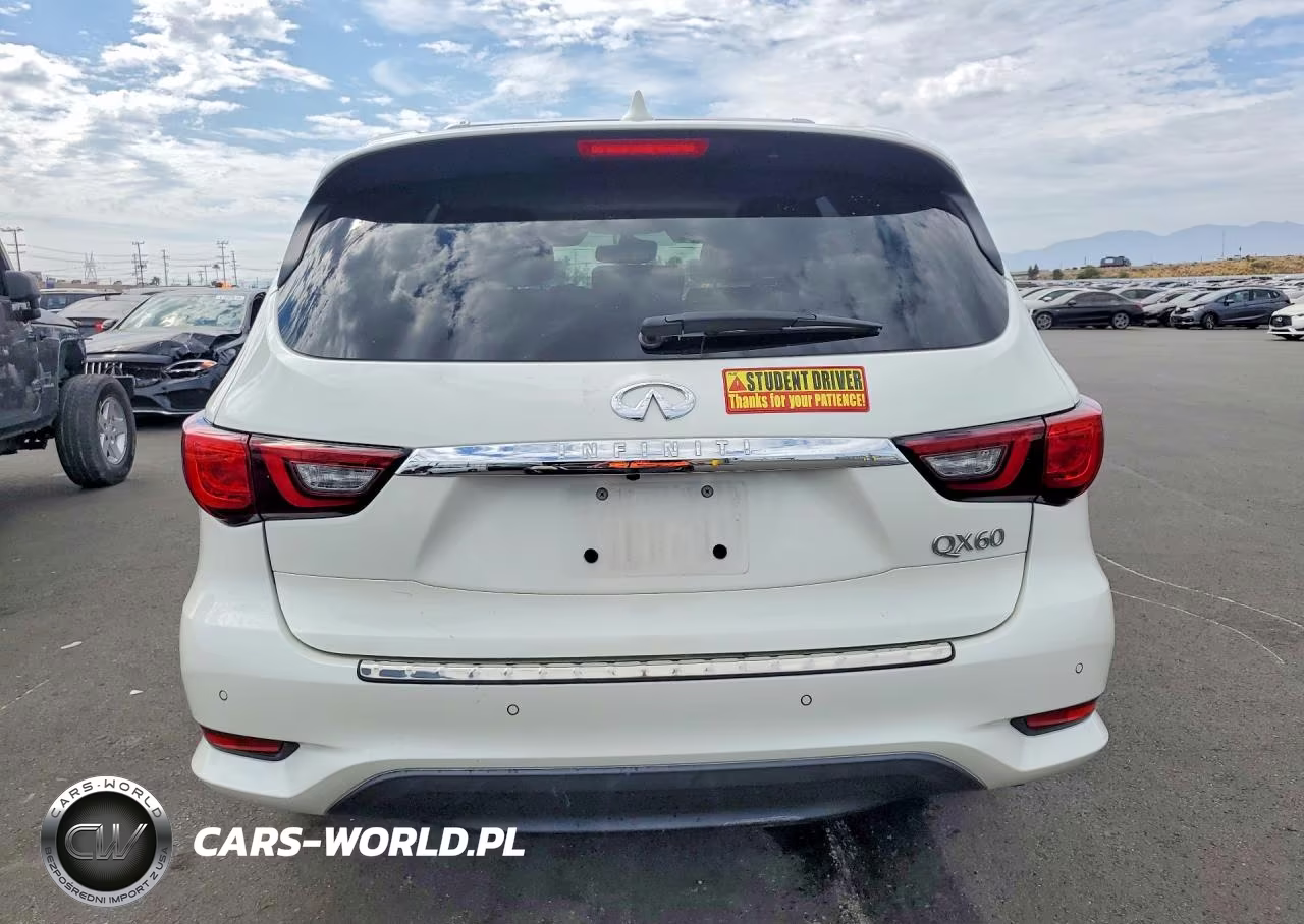 2019 Infiniti Qx60 Pure VIN:5N1DL0MN4KC560048 - 6