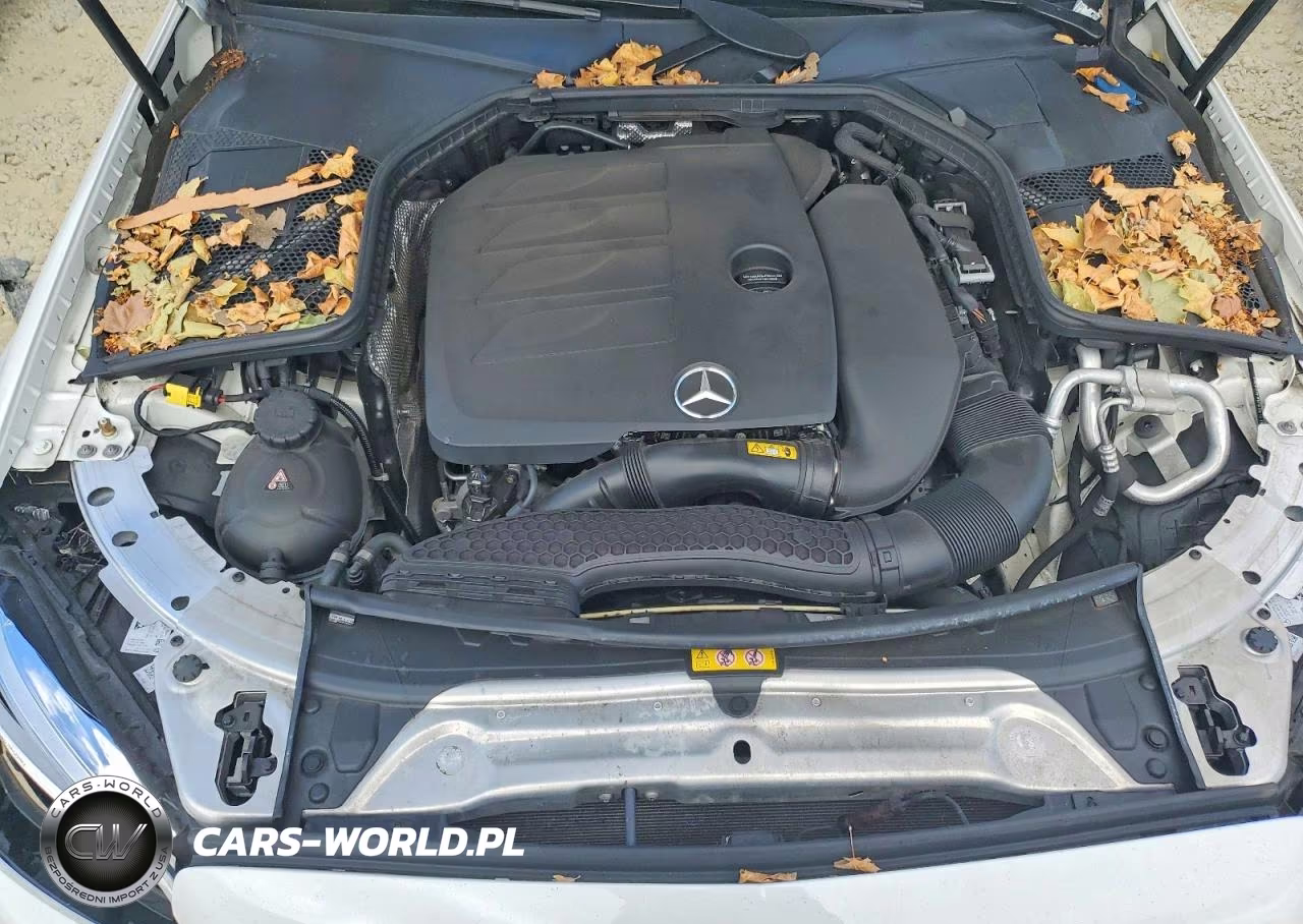 2019 Mercedes-Benz C 300 VIN:WDDWJ8DB9KF844593 - 11