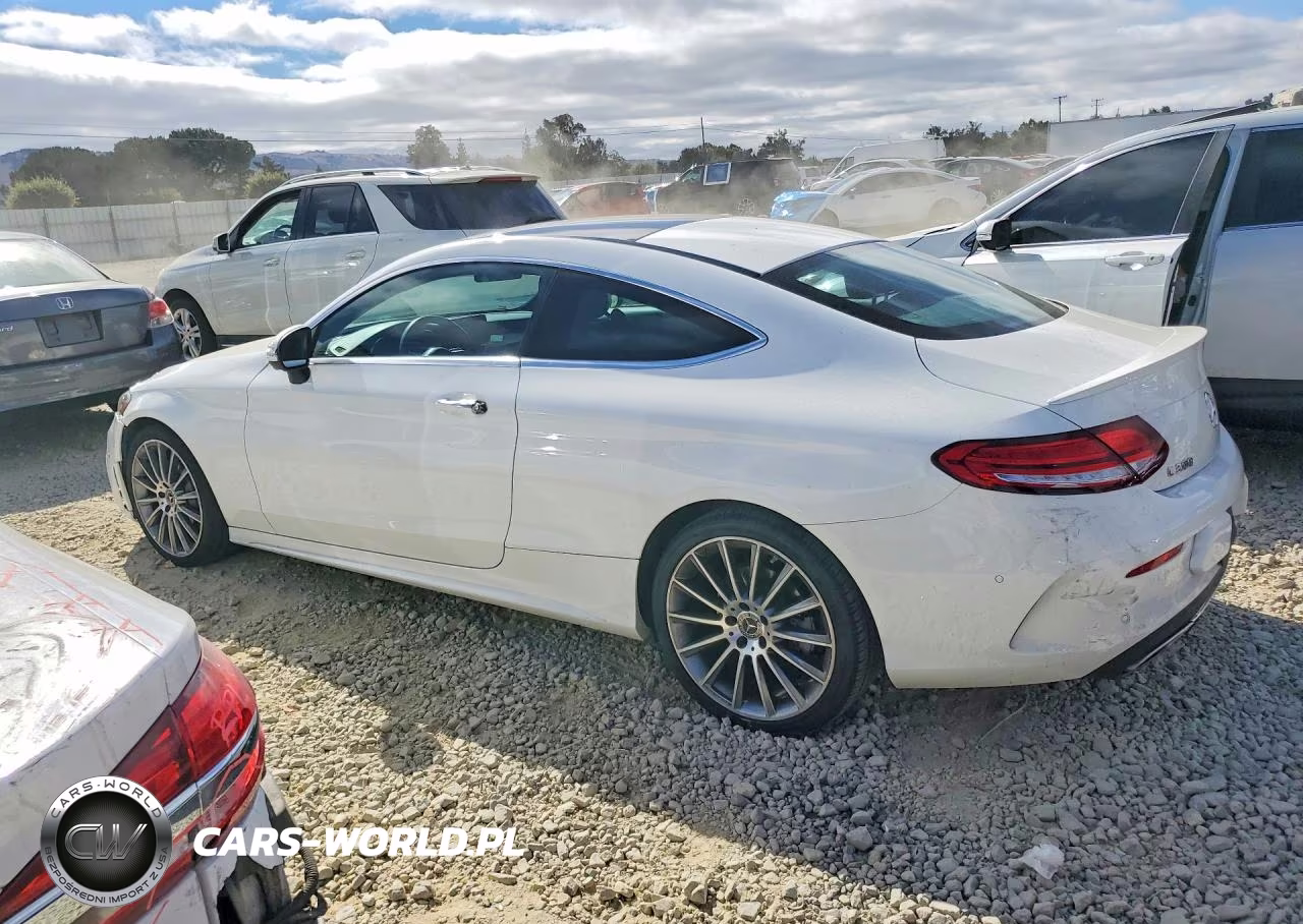 2019 Mercedes-Benz C 300 VIN:WDDWJ8DB9KF844593 - 2