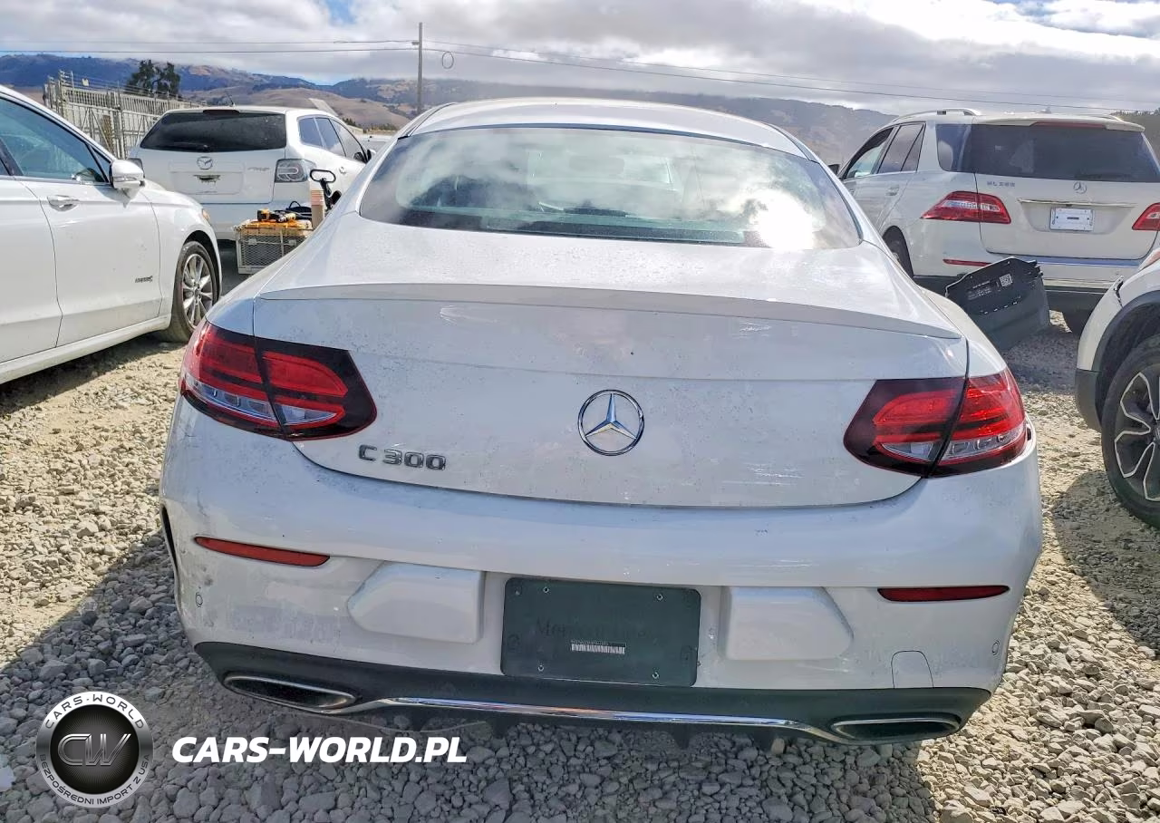 2019 Mercedes-Benz C 300 VIN:WDDWJ8DB9KF844593 - 6
