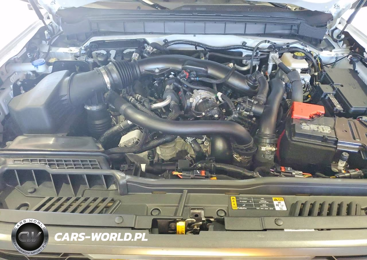 2024 Ford Bronco Raptor VIN:1FMEE0RR9RLB00792 - 12