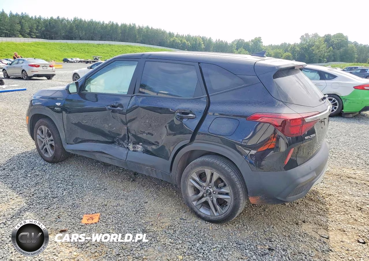 2021 Kia Seltos Lx VIN:KNDEPCAAXM7189280 - 2