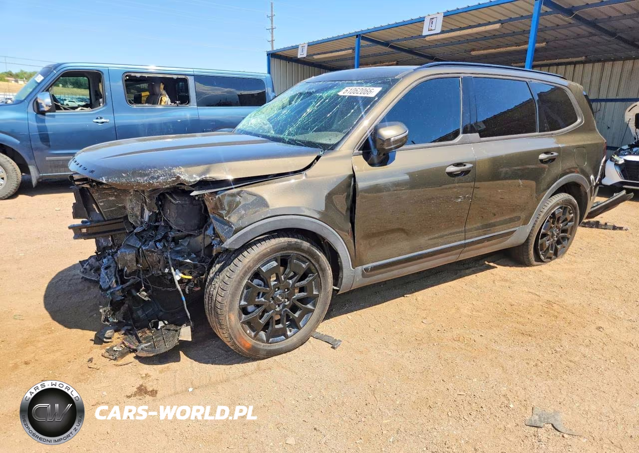 2022 Kia Telluride Sx VIN:5XYP5DHC8NG302319 - 1
