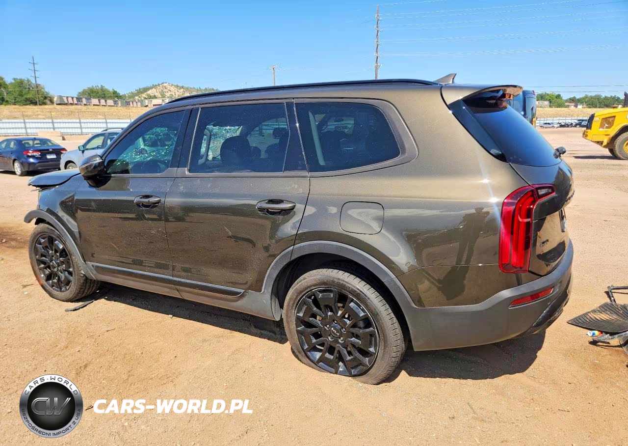 2022 Kia Telluride Sx VIN:5XYP5DHC8NG302319 - 2