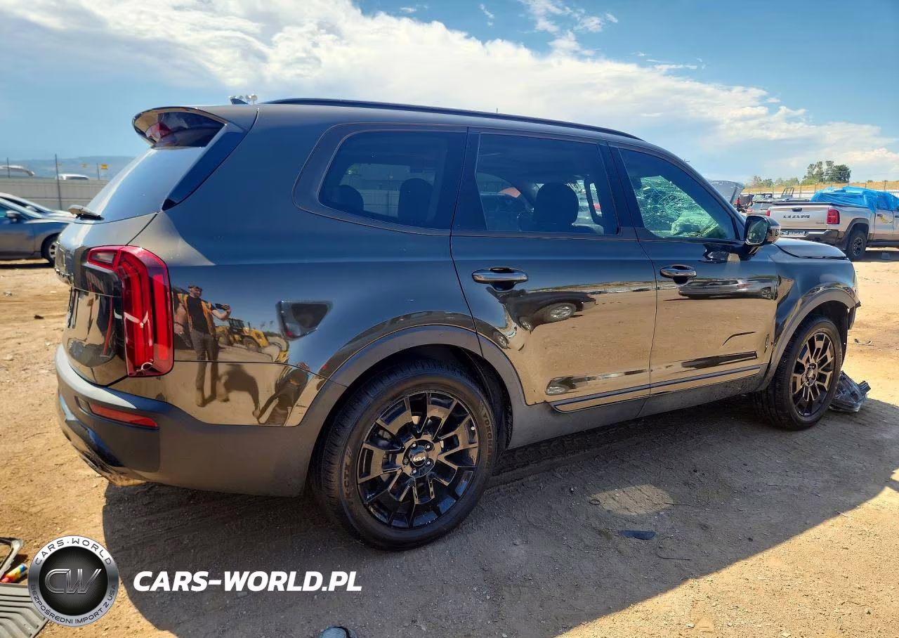 2022 Kia Telluride Sx VIN:5XYP5DHC8NG302319 - 3