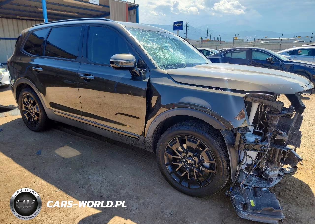 2022 Kia Telluride Sx VIN:5XYP5DHC8NG302319 - 4
