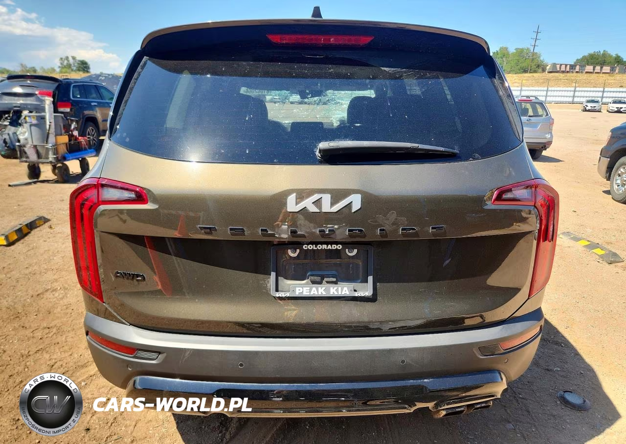 2022 Kia Telluride Sx VIN:5XYP5DHC8NG302319 - 6