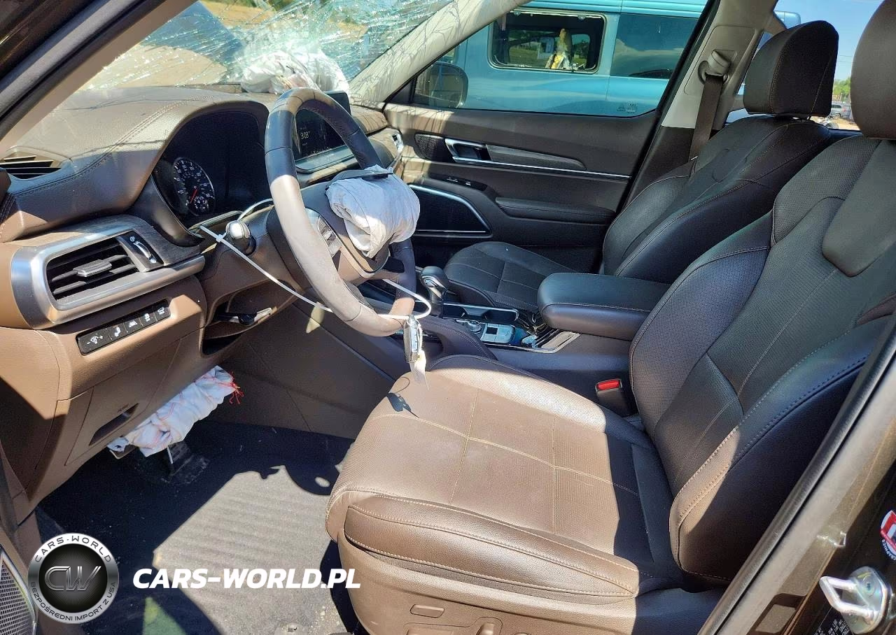 2022 Kia Telluride Sx VIN:5XYP5DHC8NG302319 - 7