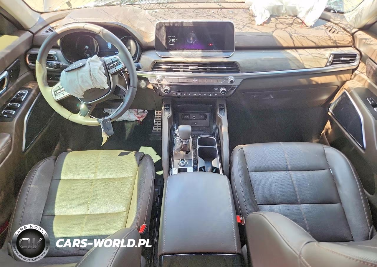 2022 Kia Telluride Sx VIN:5XYP5DHC8NG302319 - 8