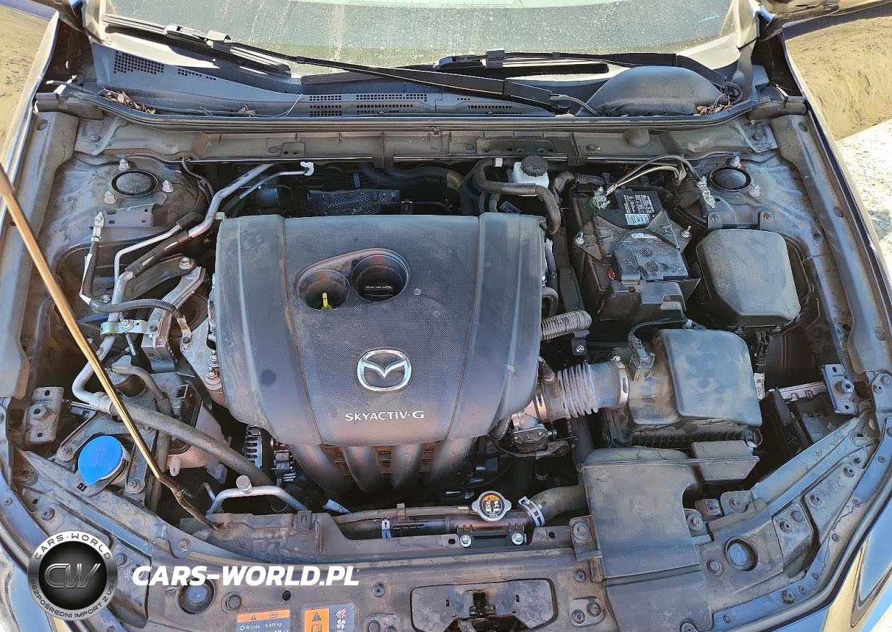 2020 Mazda 3 VIN:3MZBPABL0LM135771 - 11