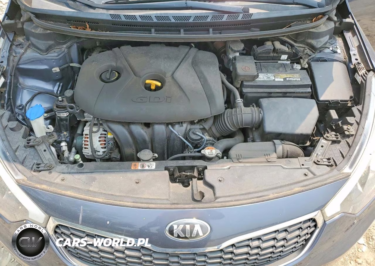2016 Kia Forte Lx VIN:KNAFK5A83G5652434 - 11