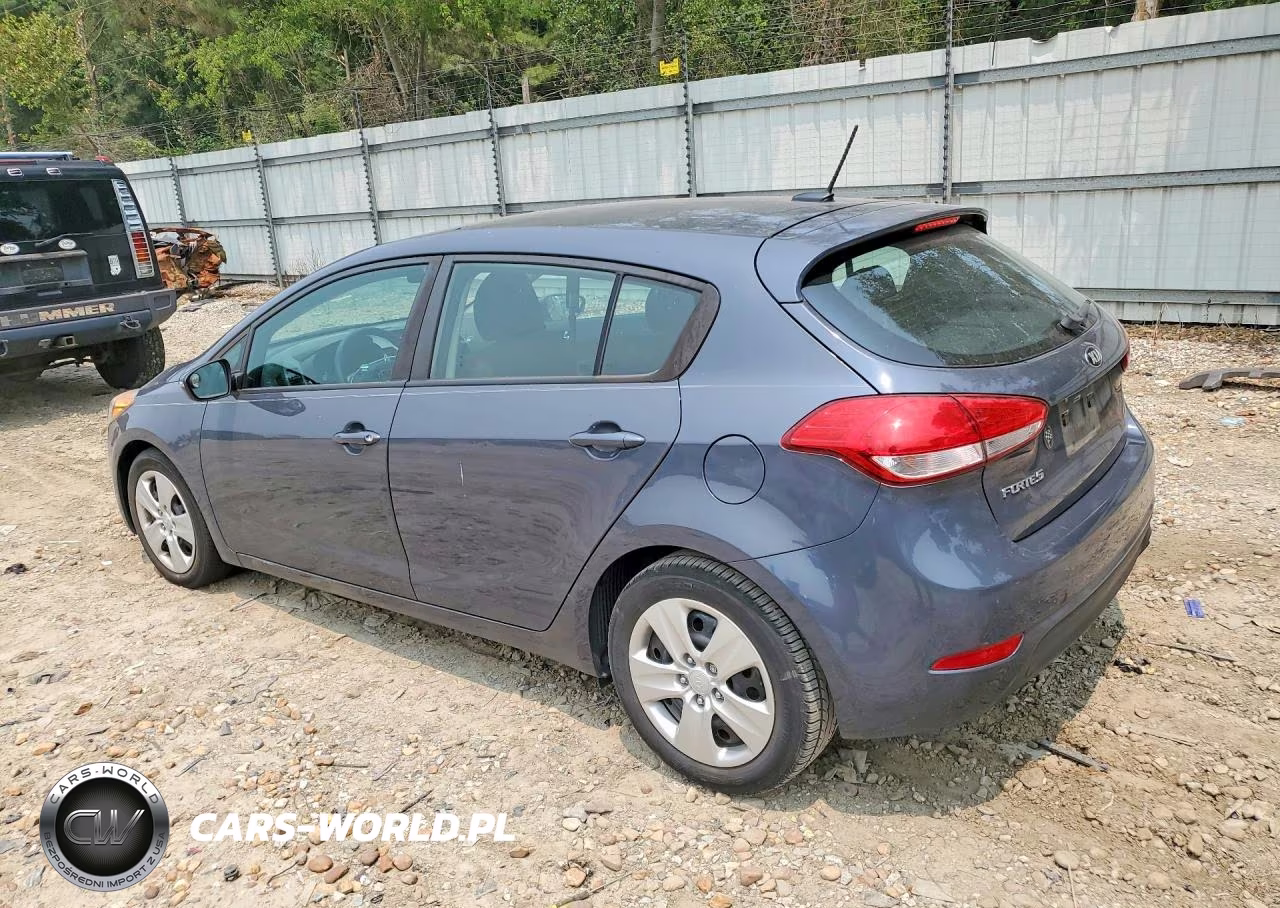 2016 Kia Forte Lx VIN:KNAFK5A83G5652434 - 2