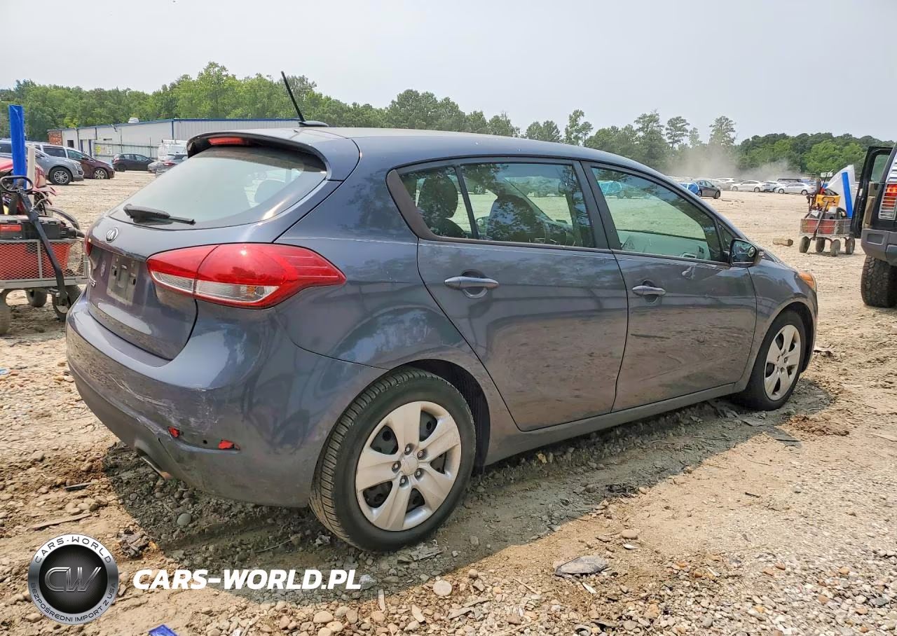 2016 Kia Forte Lx VIN:KNAFK5A83G5652434 - 3