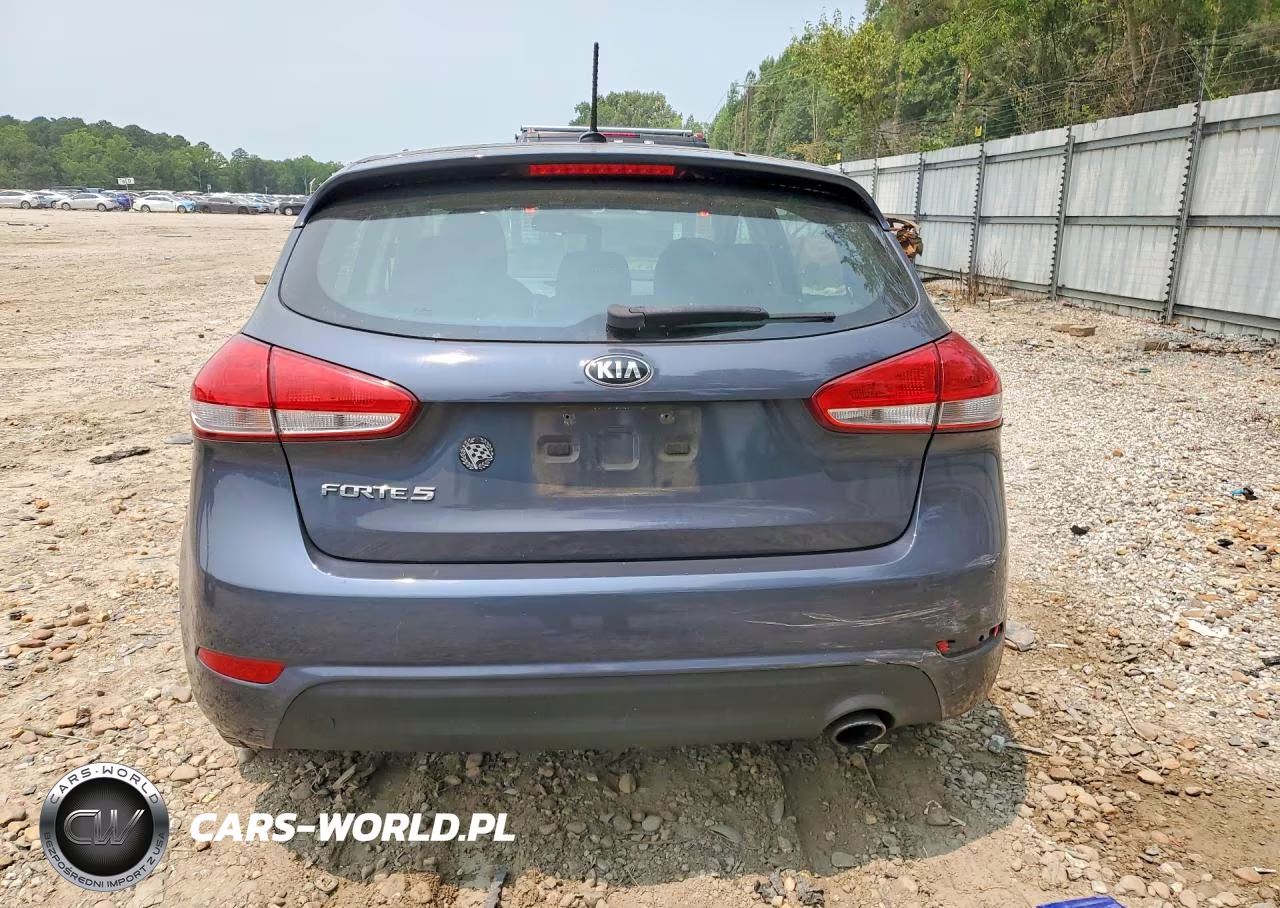 2016 Kia Forte Lx VIN:KNAFK5A83G5652434 - 6