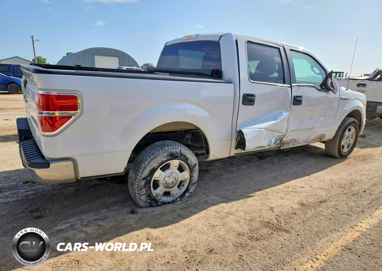 2010 Ford F150 Supercrew VIN:1FTEW1C87AFC37062 - 3