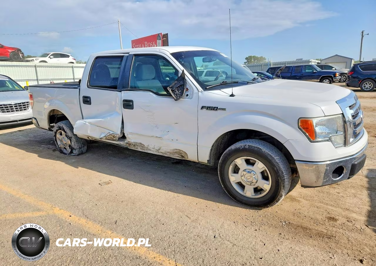 2010 Ford F150 Supercrew VIN:1FTEW1C87AFC37062 - 4