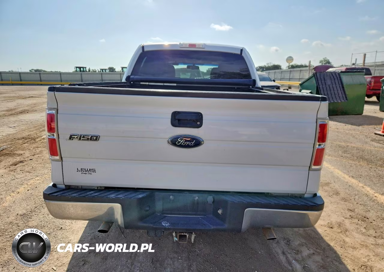2010 Ford F150 Supercrew VIN:1FTEW1C87AFC37062 - 6