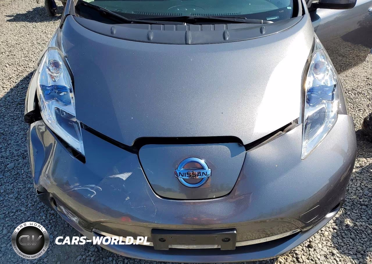 2015 Nissan Leaf Sv VIN:1N4AZ0CP0FC305921 - 12